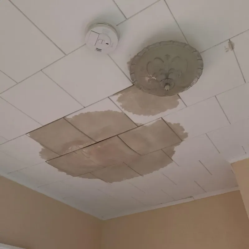 Ceiling Water Damage Repair in Boscawen, NH