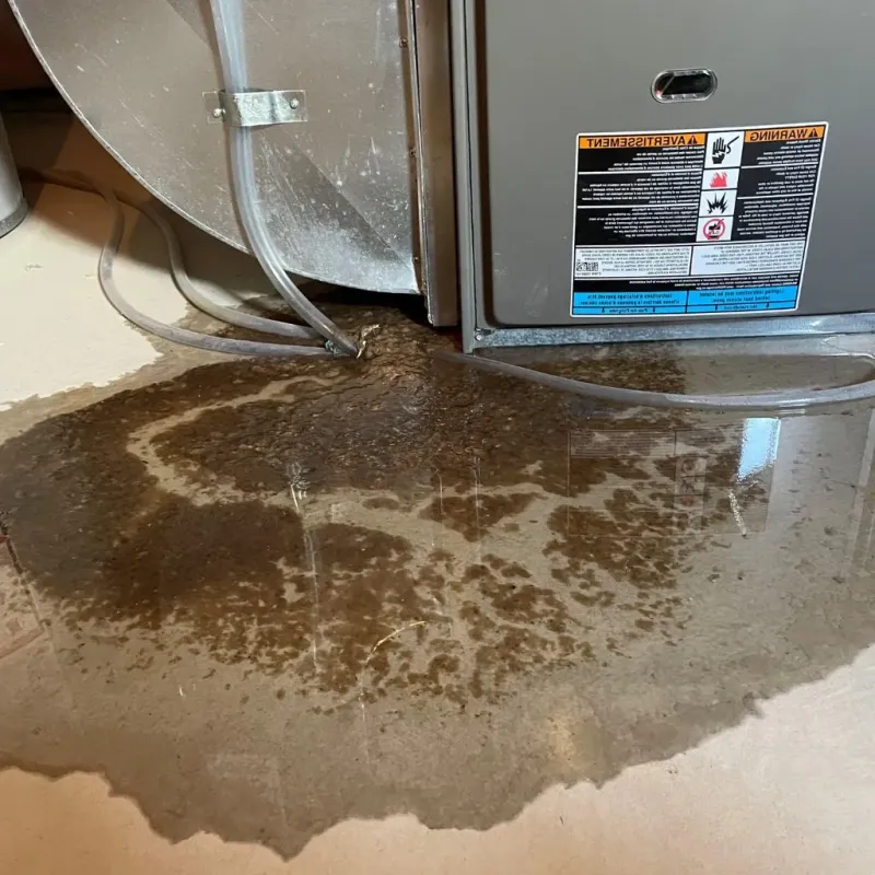 Pipe Burst and Leak Restoration in Boscawen, NH